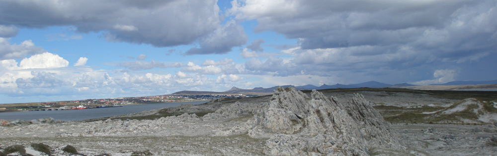 The Falklands Islands